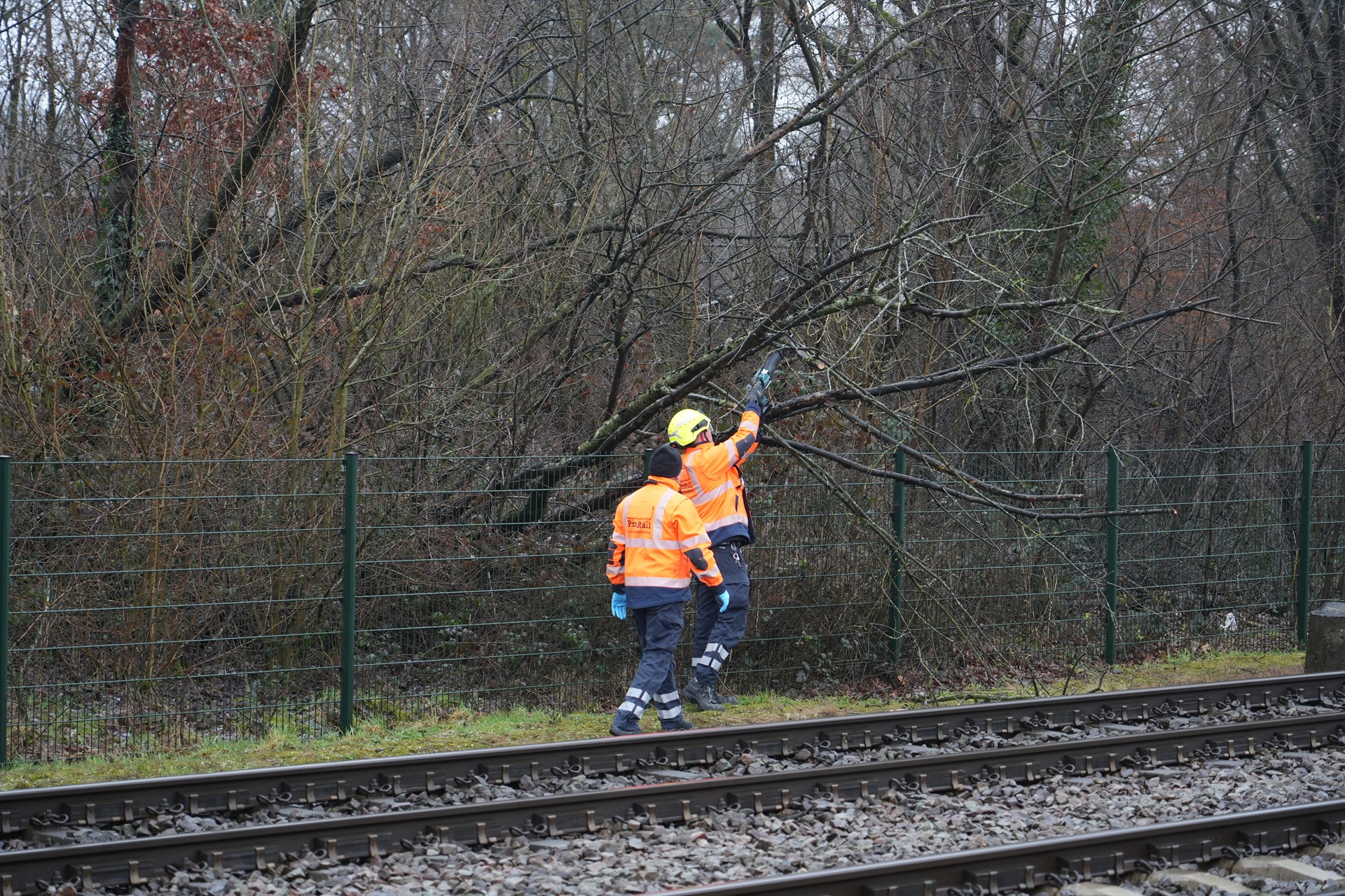 Treinverkeer uur stil na botsing met omgevallen boom