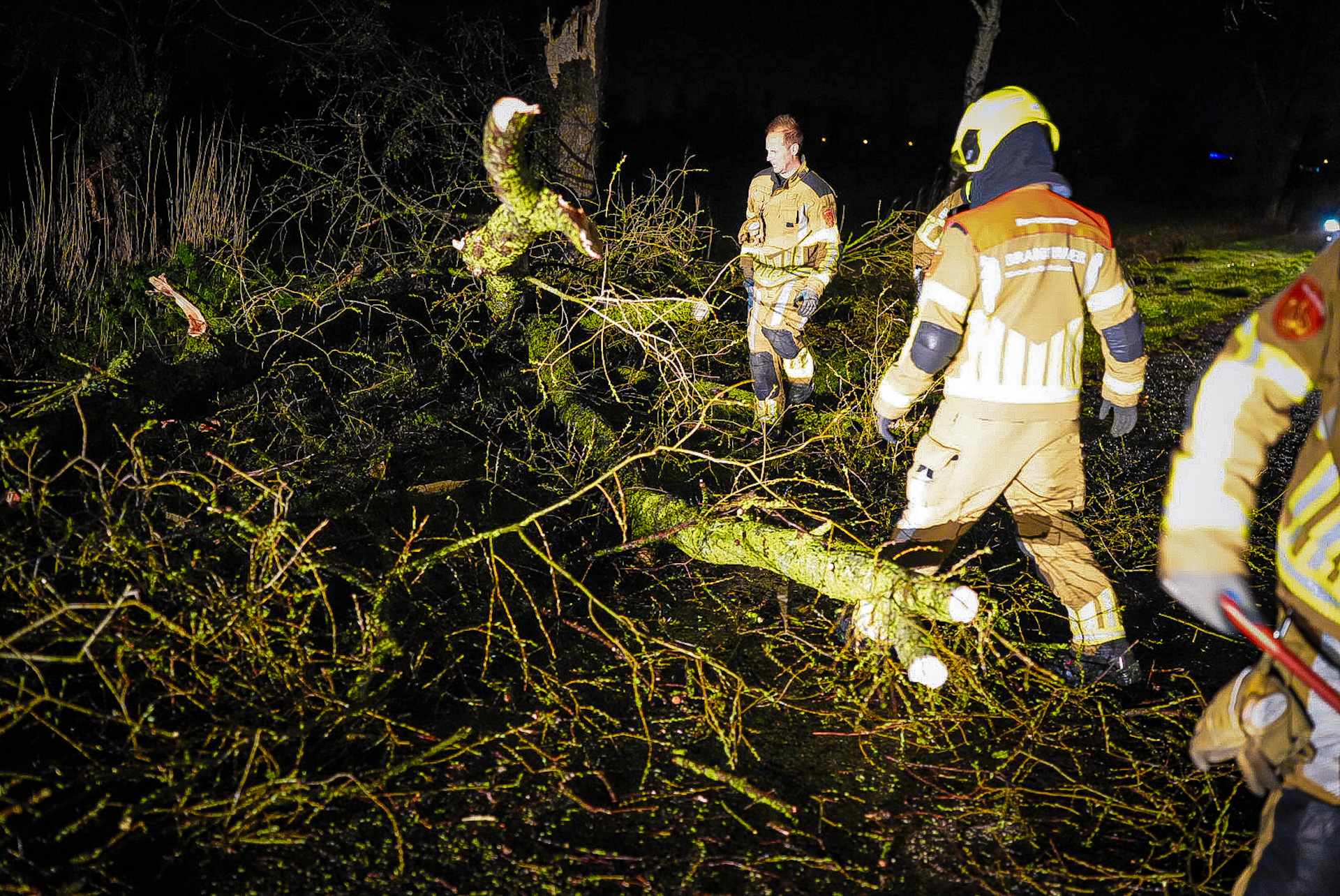 Boom waait om en blokkeert straat