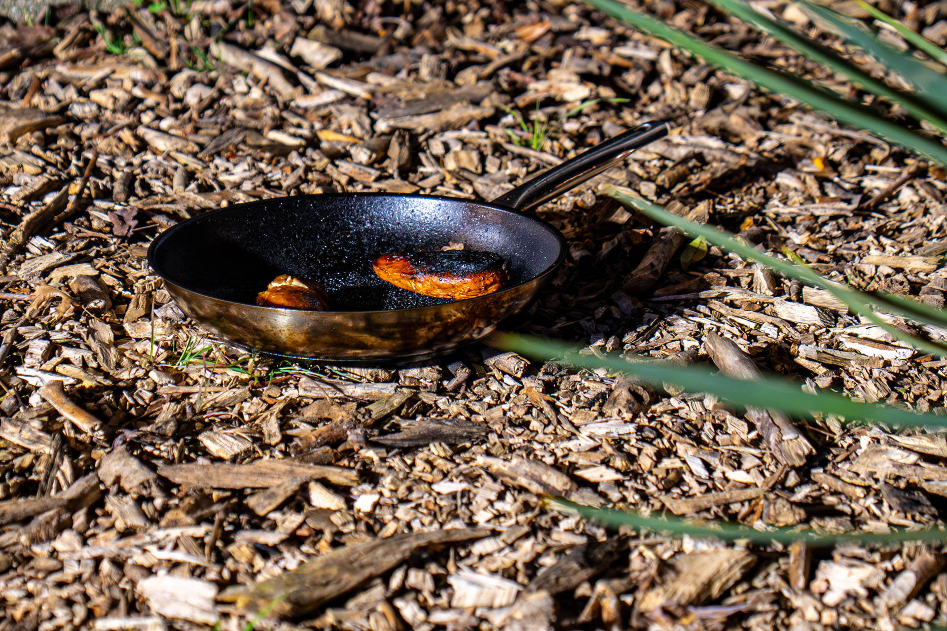 Woningbrand door pan op vuur