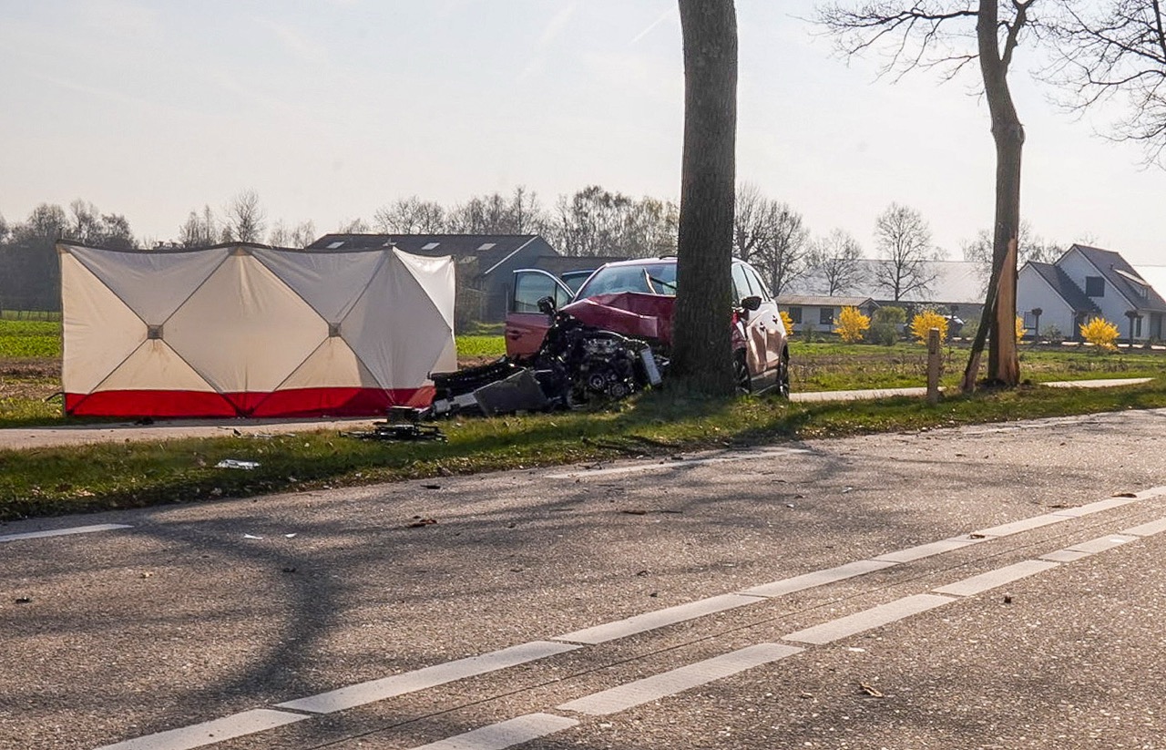 Auto botst tegen boom, bestuurster overleden