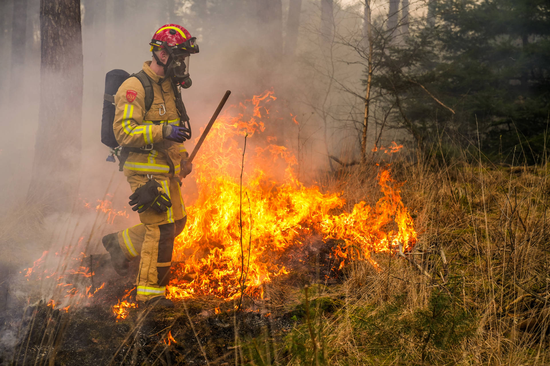 Brandweer voorkomt uitbreiding van grasbrand