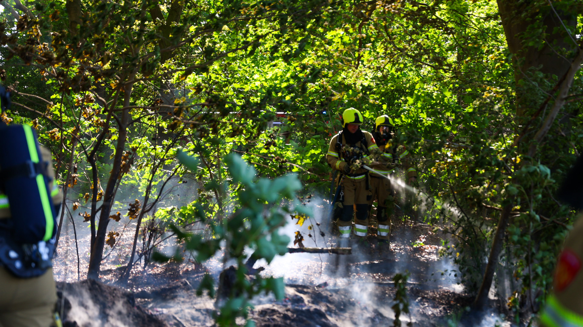 Firefighters in yellow helmets spraying water to extinguish a brush fire among dense green trees.