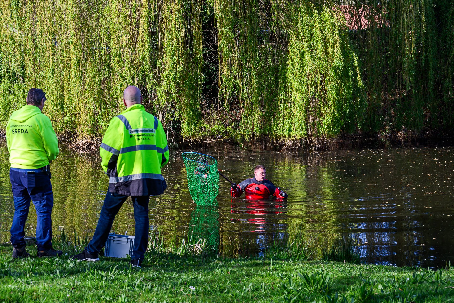 Brandweer rukt uit voor vastzittende duikeend, vogel spoorloos verdwenen