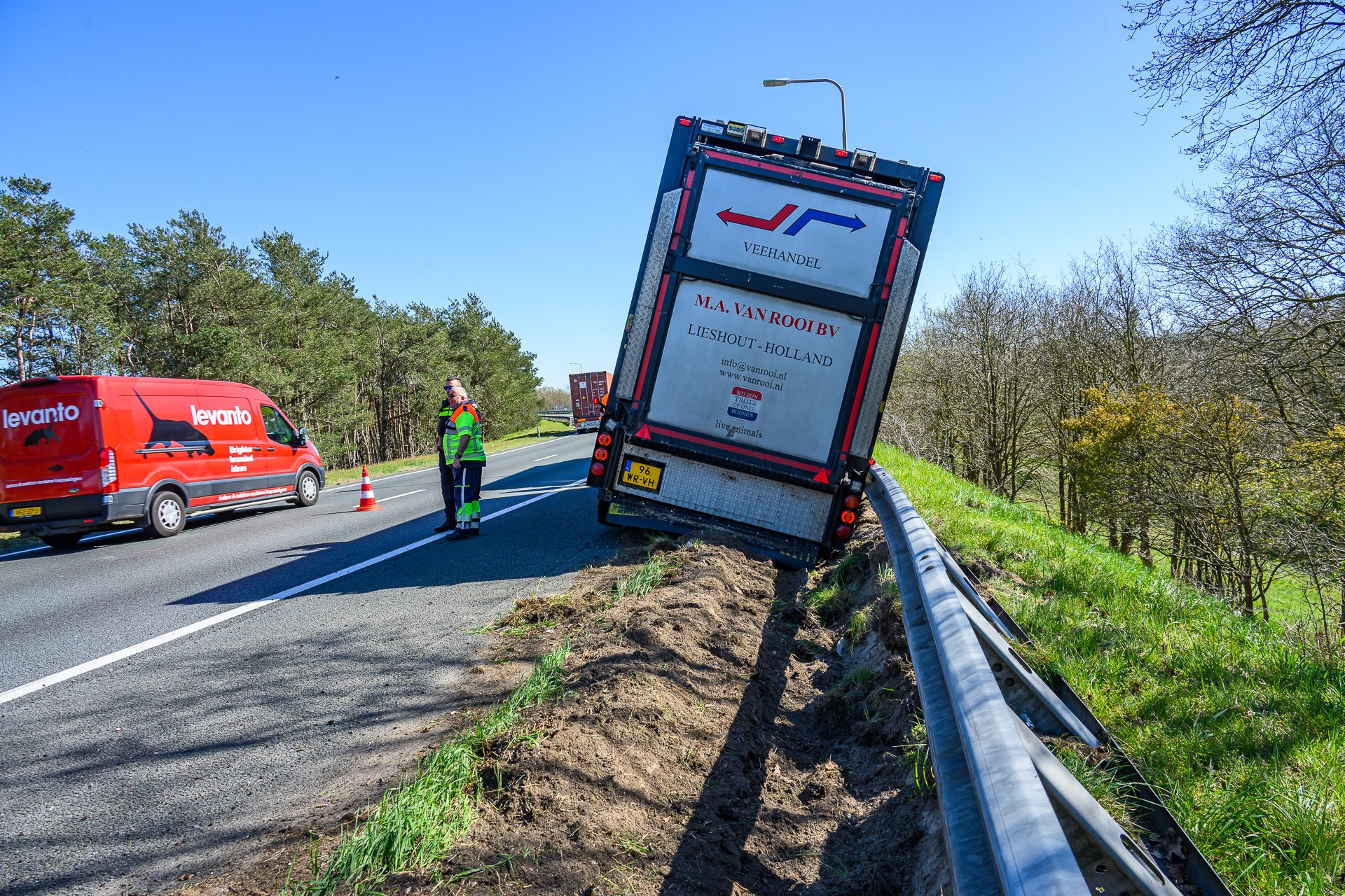 Vrachtwagen met varkens rijdt tegen de vangrail op