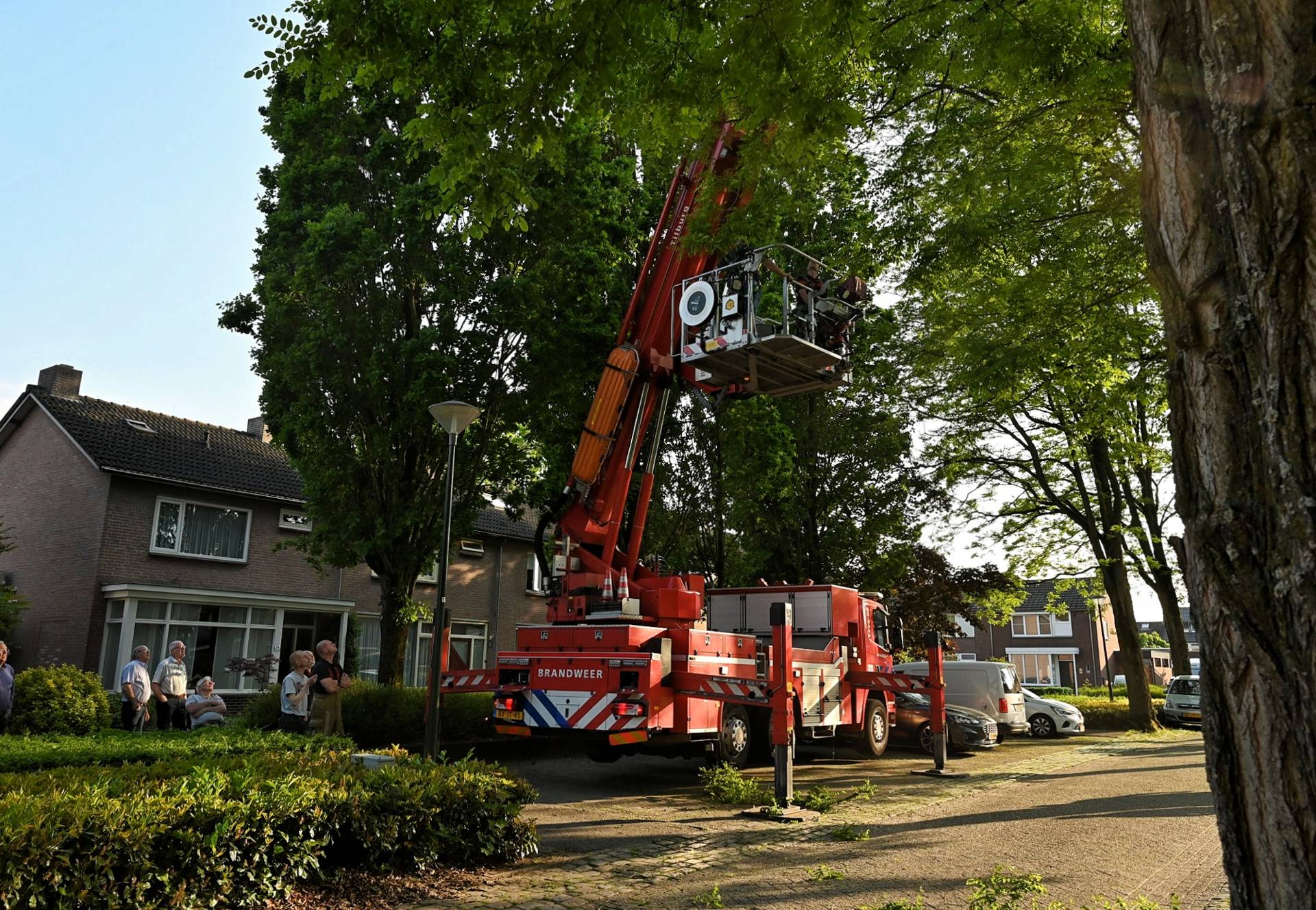 Fire department truck with an extendable platform raised among trees, as curious residents watch from the curb in a suburban street.