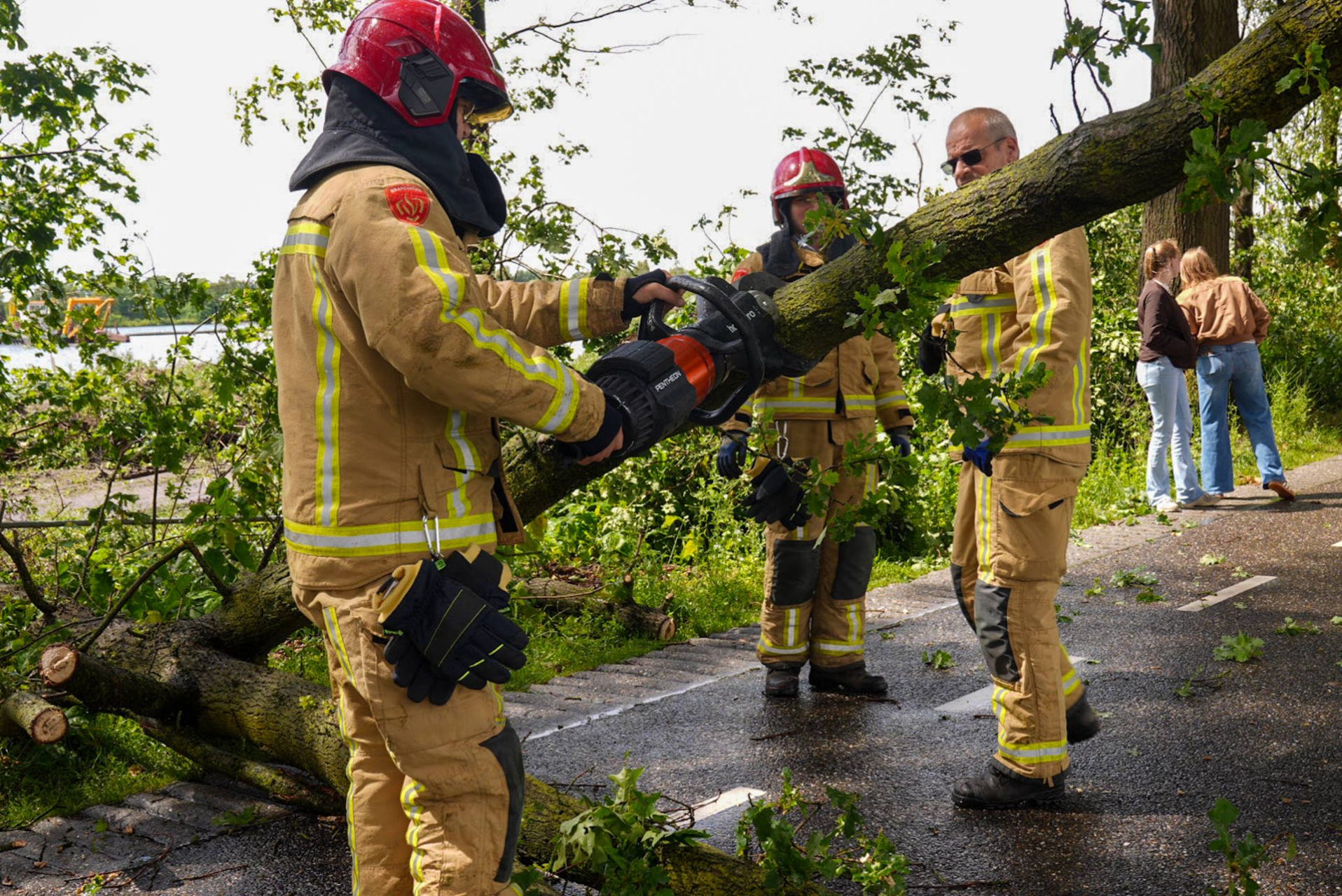 Brandweer ruimt omgewaaide boom op