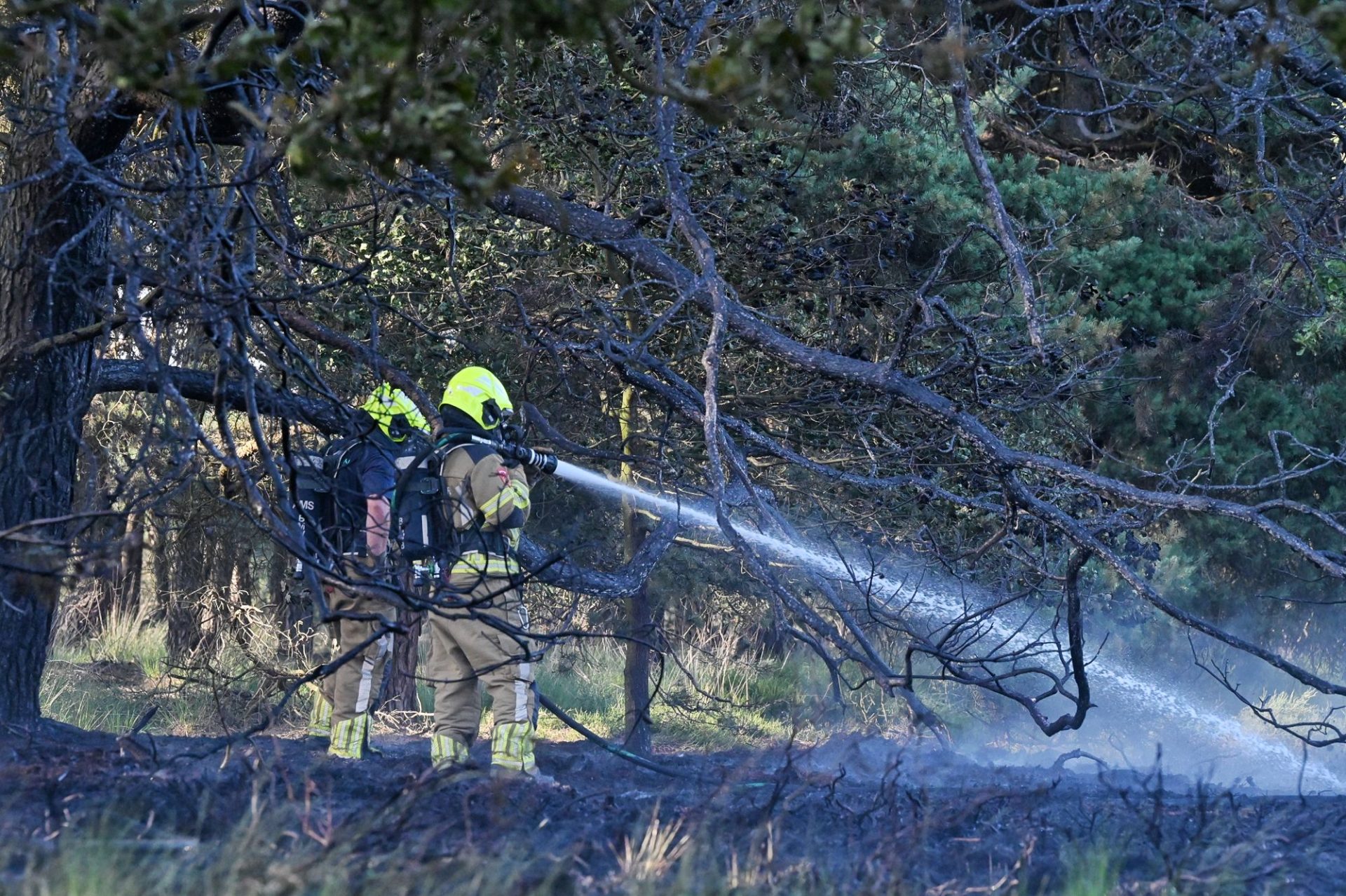 Brandweerlieden blussen flinke heidebrand in Goirle