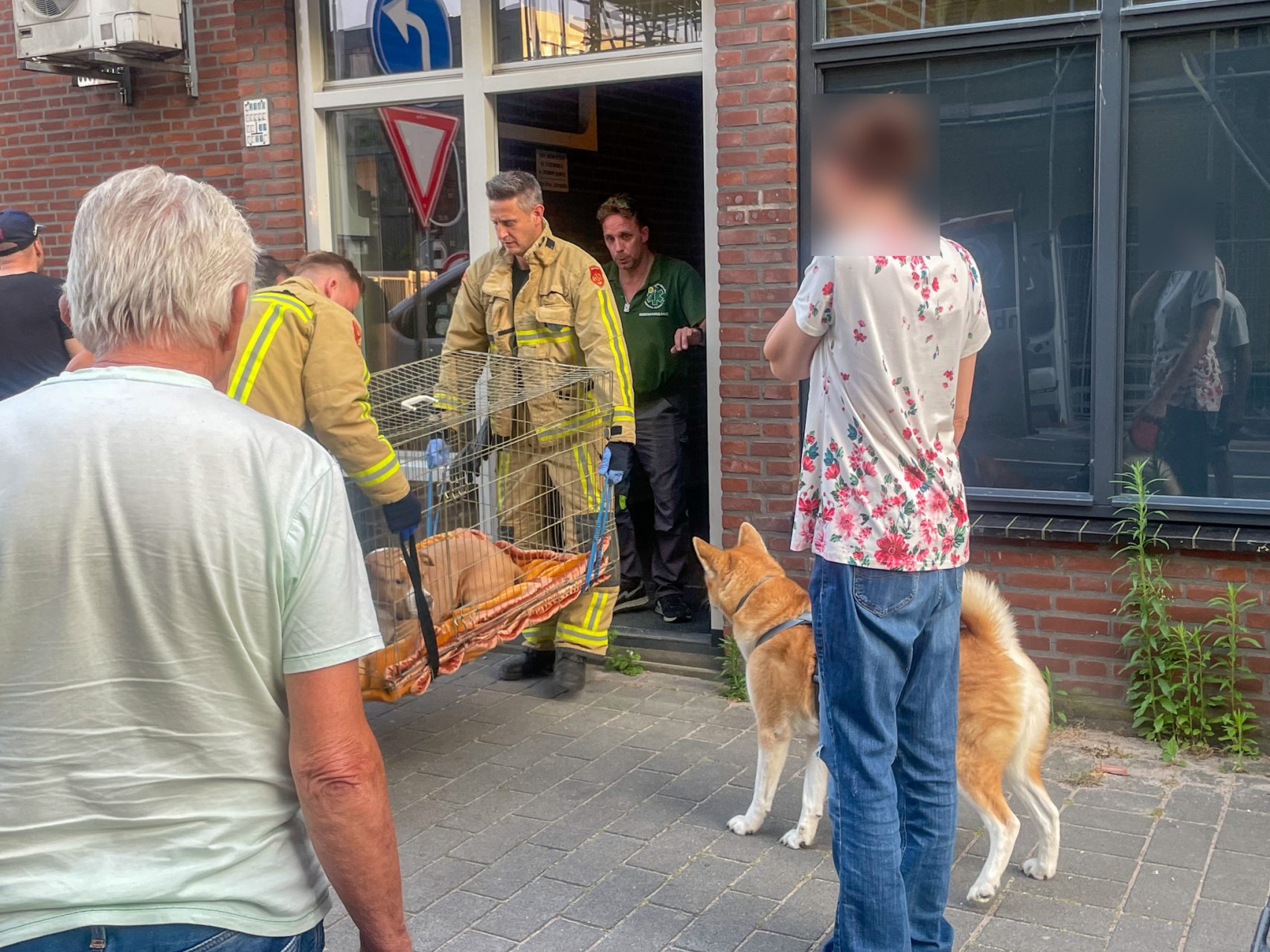 Brandweer helpt dierenambulance met zware hond in Helmond