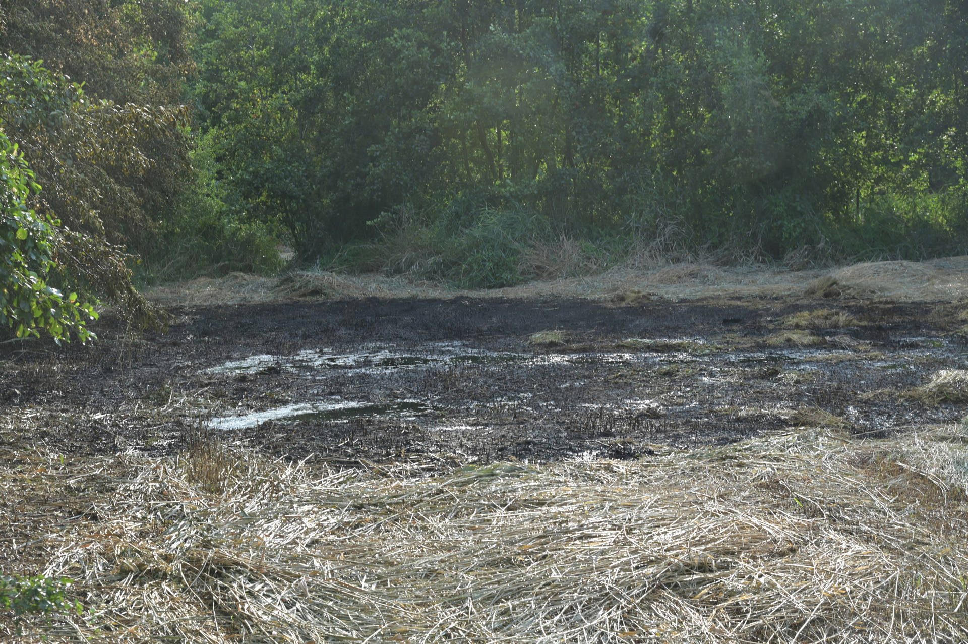 Brandweer blust vlamgevat pas gemaaid gras