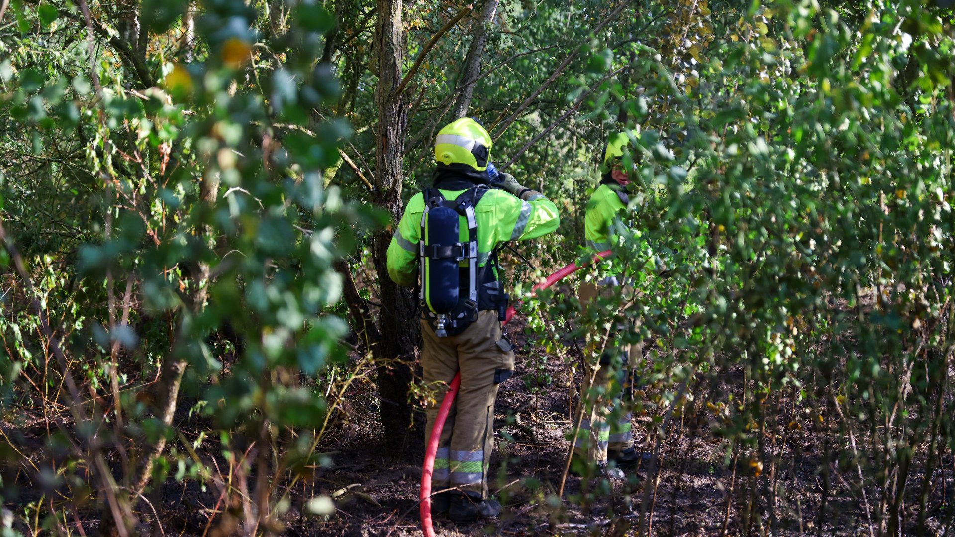Grote natuurbrand met meerdere brandhaarden