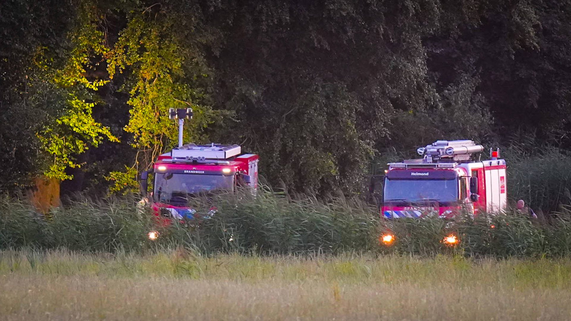 Brandweer rukt uit voor brand in bos