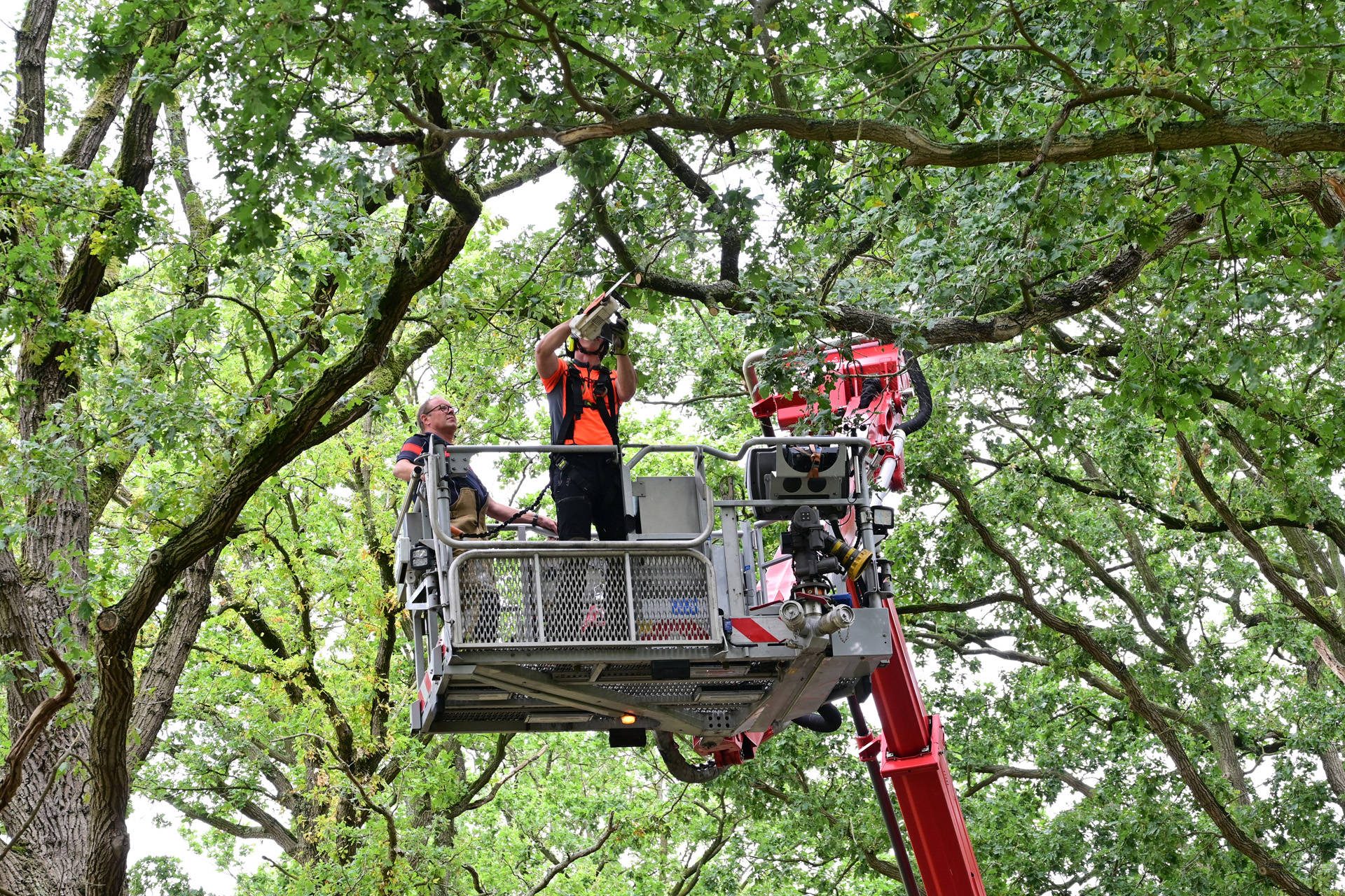 Brandweer helpt bij verwijderen gevaarlijke tak