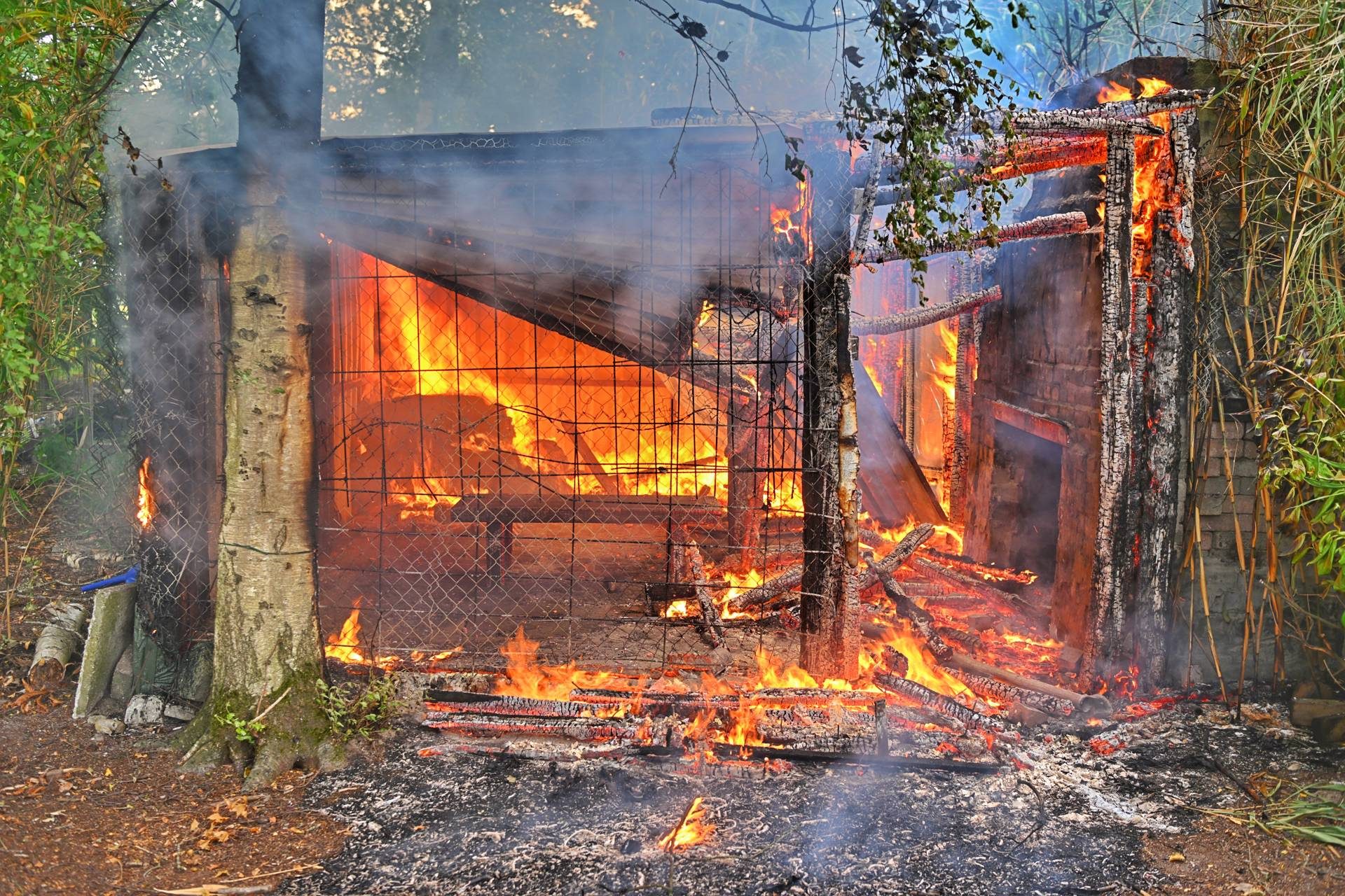 Keet tussen de bomen vat vlam en brandt volledig af