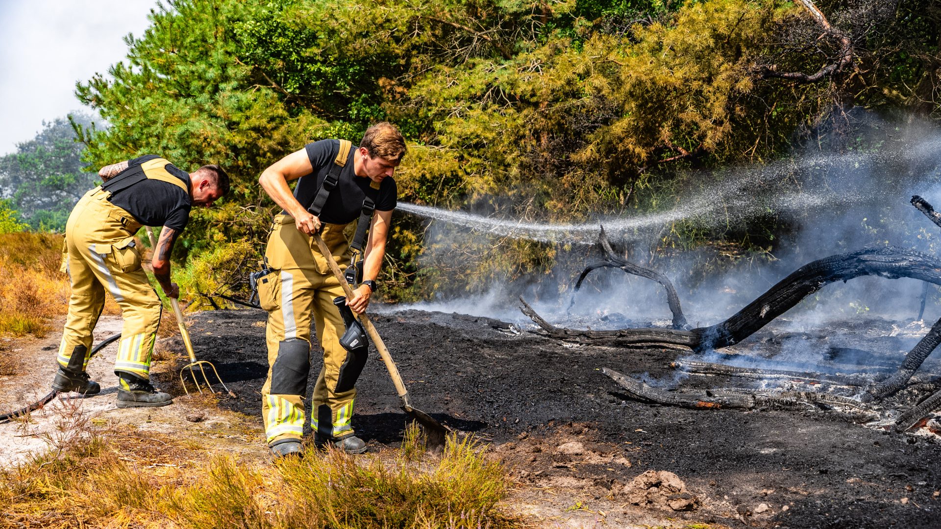Risico op natuurbrand in Nederland bijna verdubbeld in tien jaar