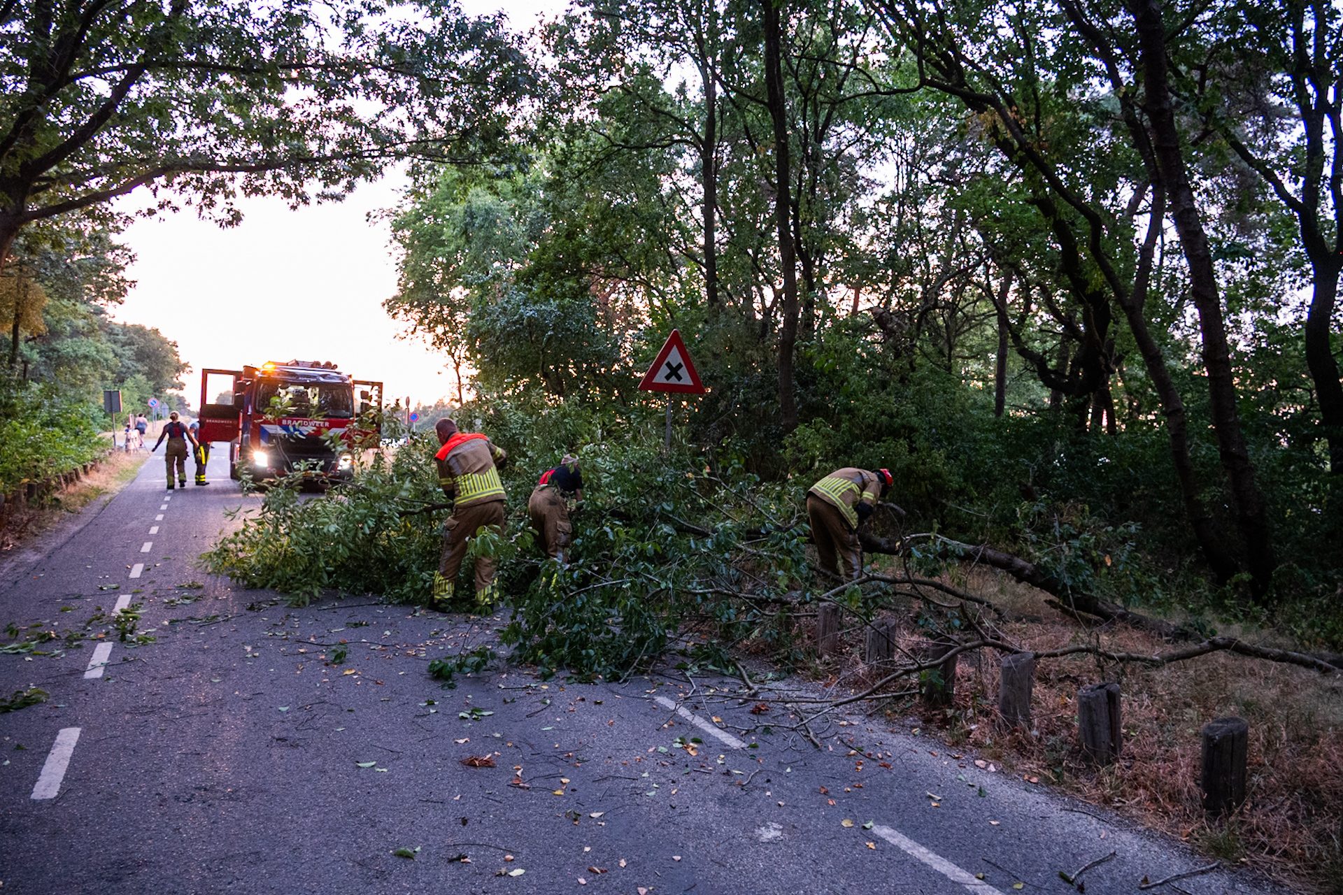Verkeer gehinderd door omgevallen boom